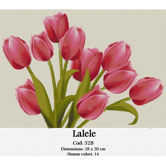 Tulips